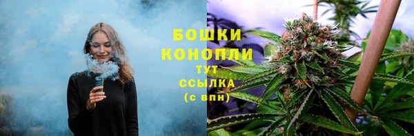 спиды Вяземский