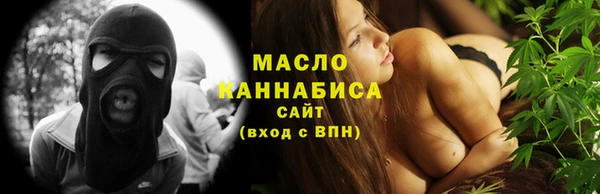 спиды Вяземский