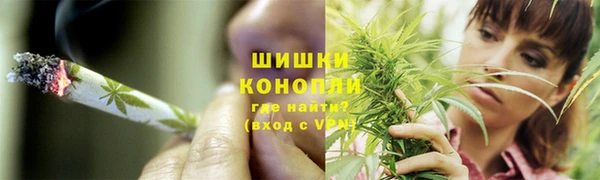 мдпв Вязьма