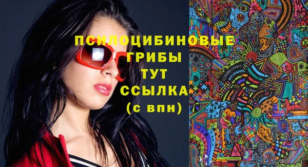 спиды Вяземский