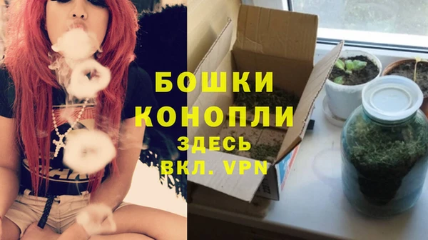 мдпв Вязьма
