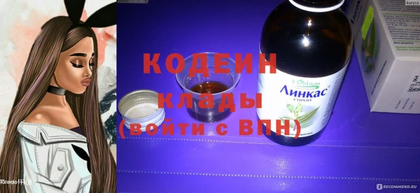 мдпв Вязьма