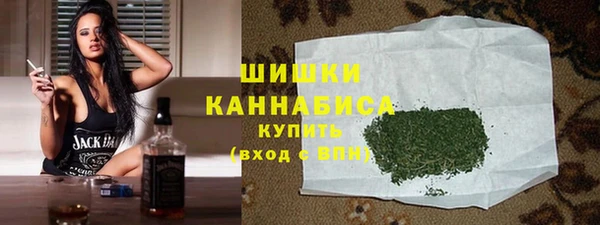 спиды Вяземский