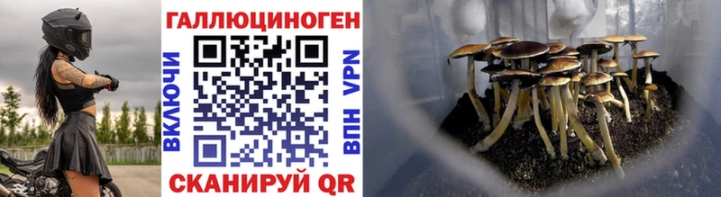 Галлюциногенные грибы мицелий Звенигород